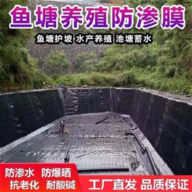 土工防渗膜黑塑料膜o养鱼u园林建设黑色土工膜沼气t池庭x院池塘堆 江湖惠