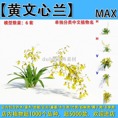 灌木地被花卉-235【黄文心兰】max植物园林景观室外3d植物模型