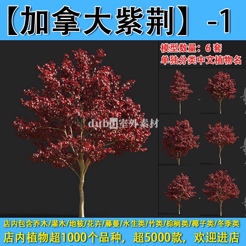 乔木-283-1-【红叶加拿大紫荆-1】max园林景观室外3d植物模型素材