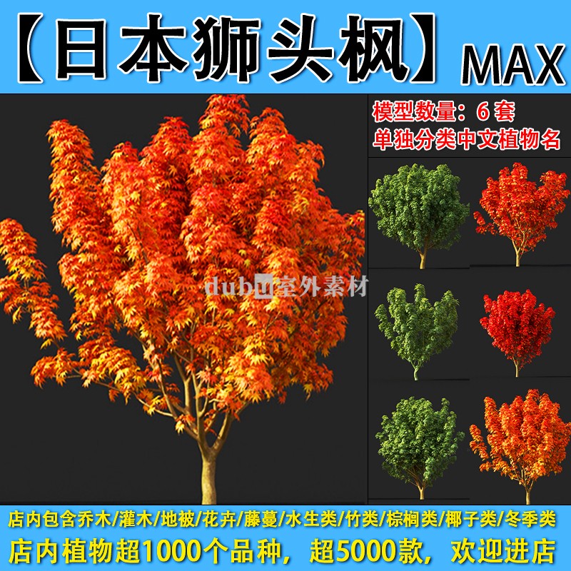 乔木-055-【枫树-狮头枫】max植物模型园林景观室外3d植物模型素