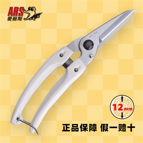 爱丽斯 ARS 140L-DX 园艺花艺剪枝修枝剪庭院直刃剪刀