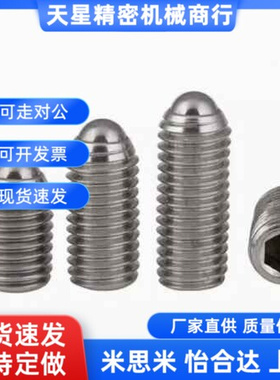 不锈钢加长型轻载型球头柱塞 BSML3/4/5/6/8/10/12 BMSL系列