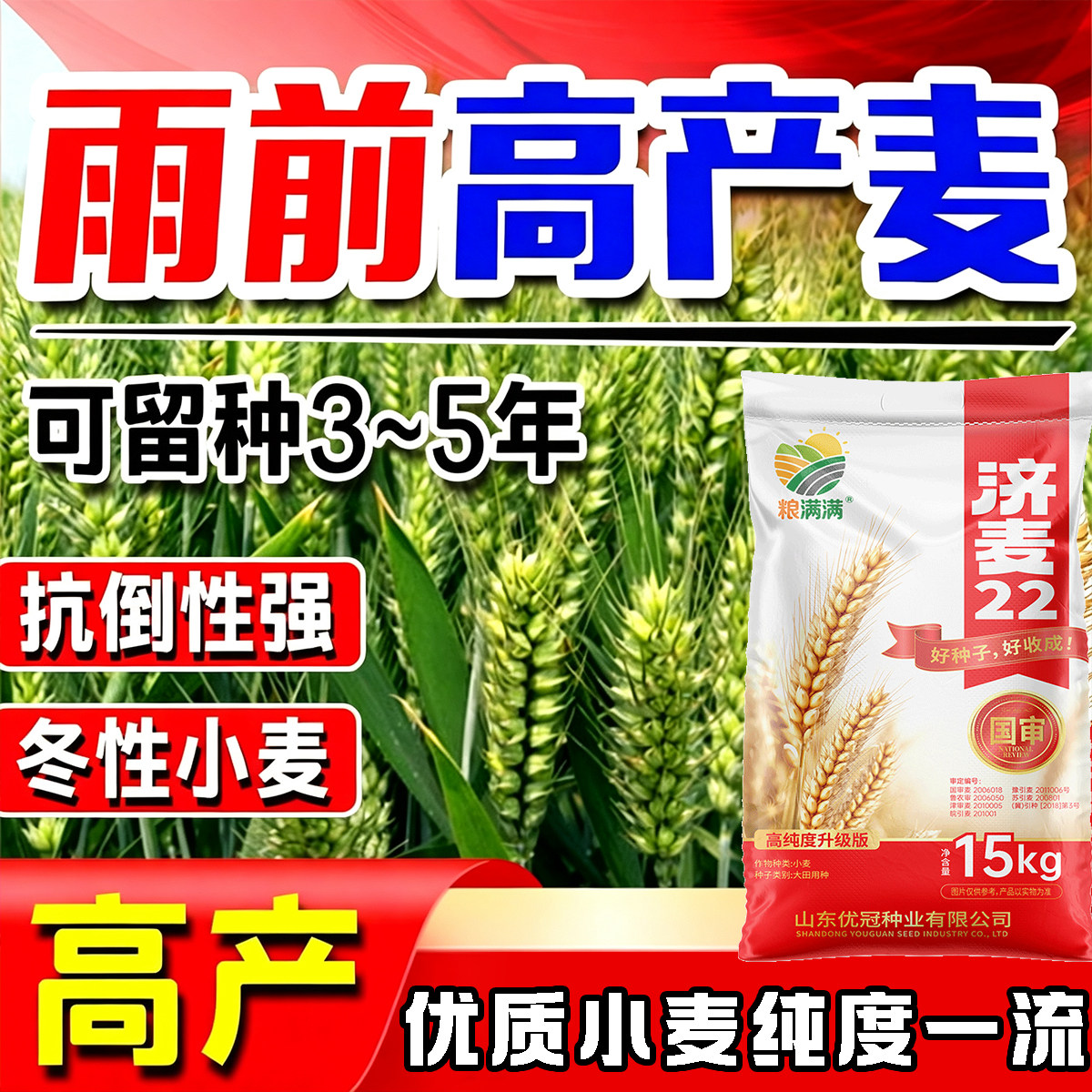 国审济麦22高产优质小麦种子农科院矮杆大穗抗冻冬小麦原种麦子种图片