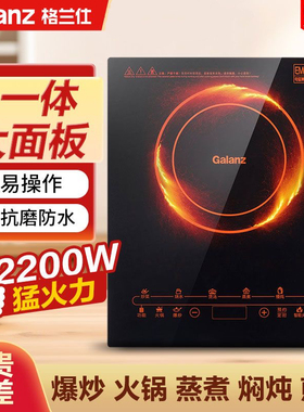 Galanz/格兰仕 CH2118K多功能电池炉烧水热菜炖肉黑色微晶面板炉