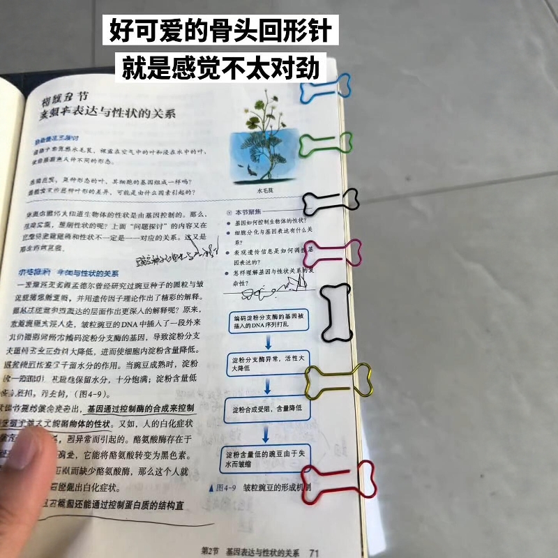 被狠狠拿捏骨头彩色回形针办公