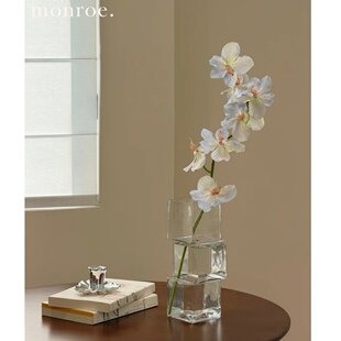 高级感花器餐桌装饰品情绪稳定花瓶玻璃透明水养插花摆件客厅轻奢