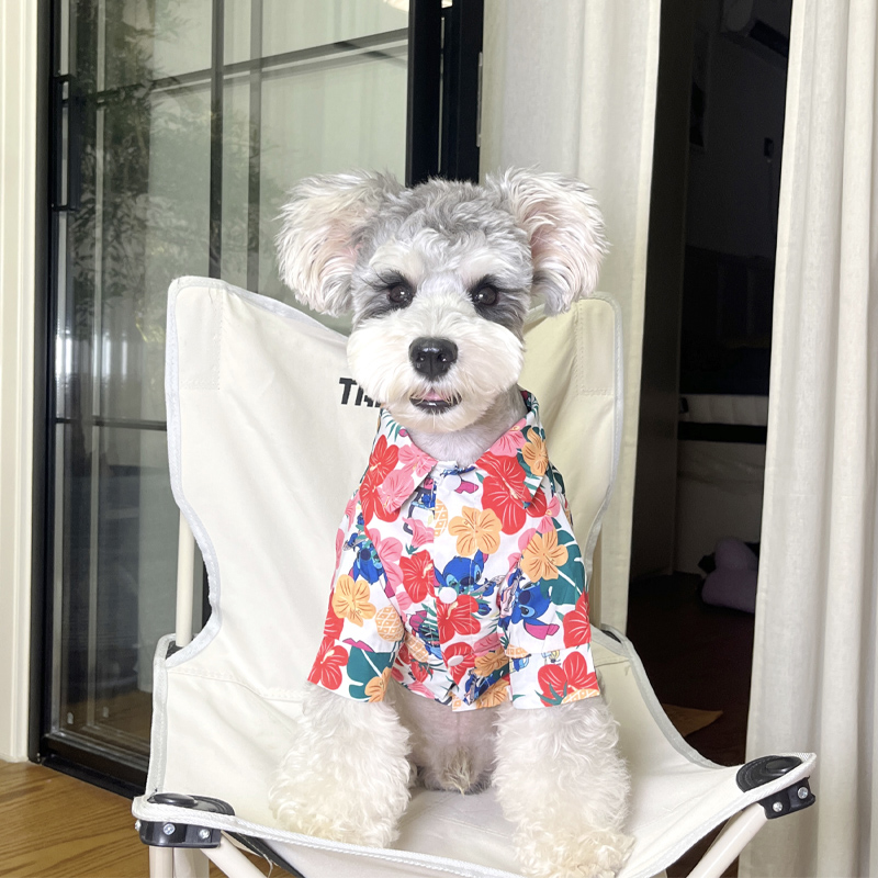 狗狗衣服小型犬雪纳瑞夏季薄款夏威夷风衣服猫咪小狗衣服防掉毛 宠物/宠物食品及用品 猫宠物服装/雨衣（新） 原图主图