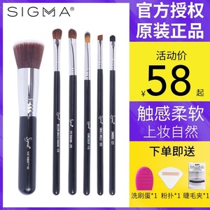 美国Sigma化妆刷F80平头粉底刷E65眼线刷眼影刷遮瑕鼻影刷化妆刷