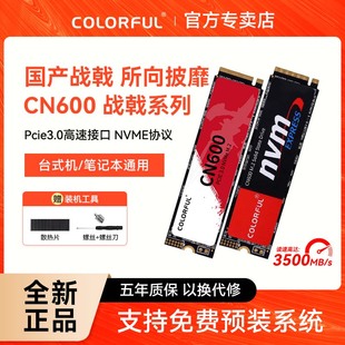 M2长江存储SSD 电脑NVMe 1T笔记本台式 七彩虹cn600固态硬盘512G