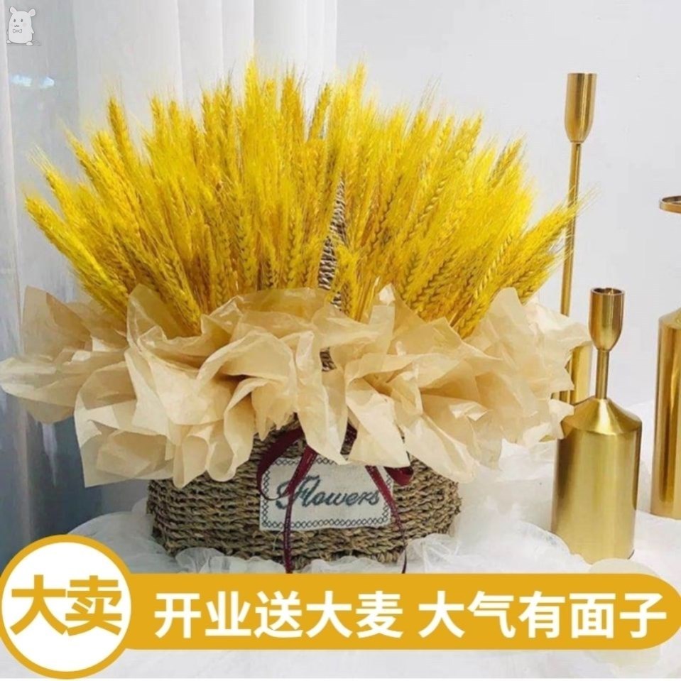 大麦永生花开业花篮仿真朋友开店贺礼送礼物天然麦穗干花花束摆件