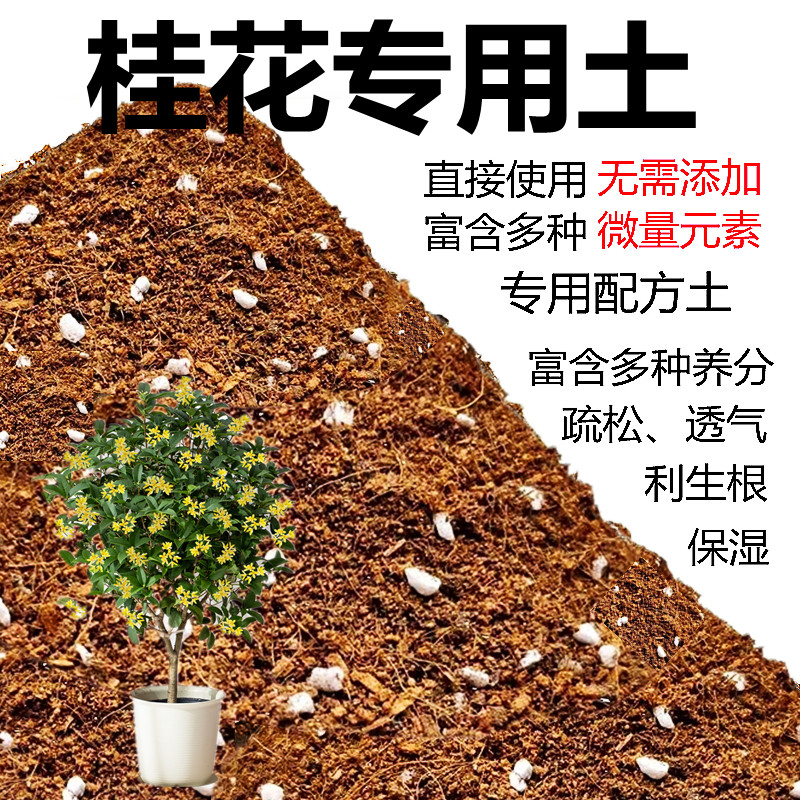 桂花专用土弱酸性金桂四季桂花树苗盆栽月月丹桂银桂有机营养花土