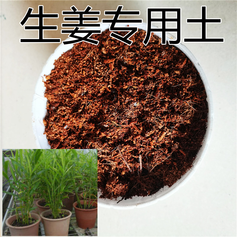 生姜专用土大小黄姜种植土蔬菜土阳台盆栽种菜沙质通用土绿植肥料
