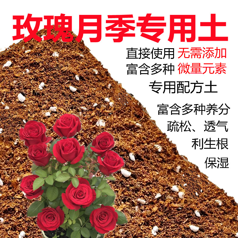 玫瑰绣球花盆栽通用型月季土包邮