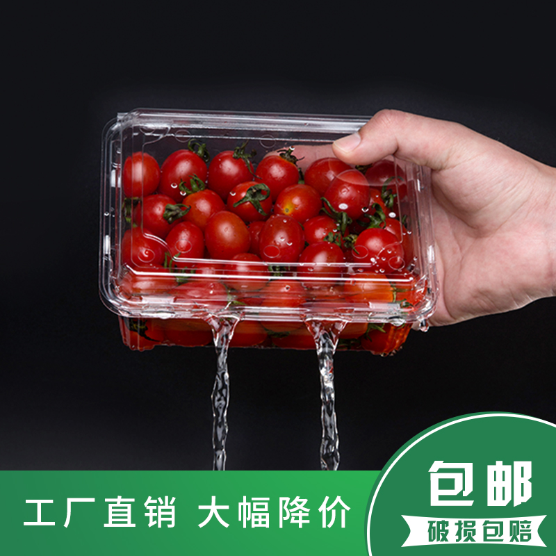 辛晟一次性装水果捞盒子装西瓜鲜果切盒有盖透明保鲜塑料打包盒装
