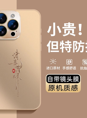 适用苹果13手机壳iPhone16promax镜头膜2025新款15套14防摔plus国风16磨砂12女高级感11男士ip16pro男max外壳