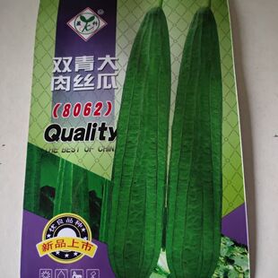 【大肉棱角丝瓜种子】花点丝瓜甜丝瓜蔬菜种子八角脆丝瓜种子菜籽