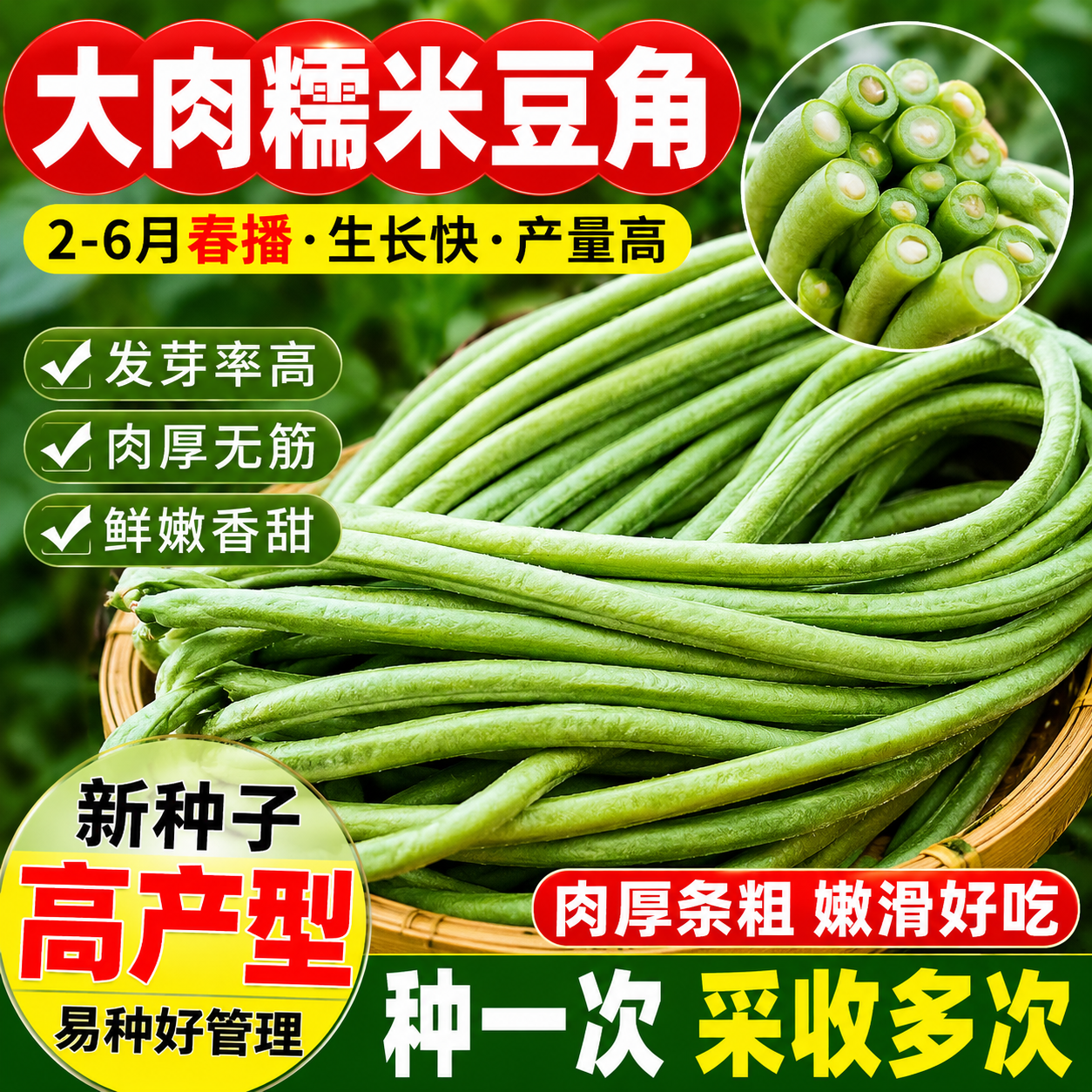 超好吃大肉糯米甜豆角种子白长豆角春夏秋播白玉长豇豆易种蔬菜孑