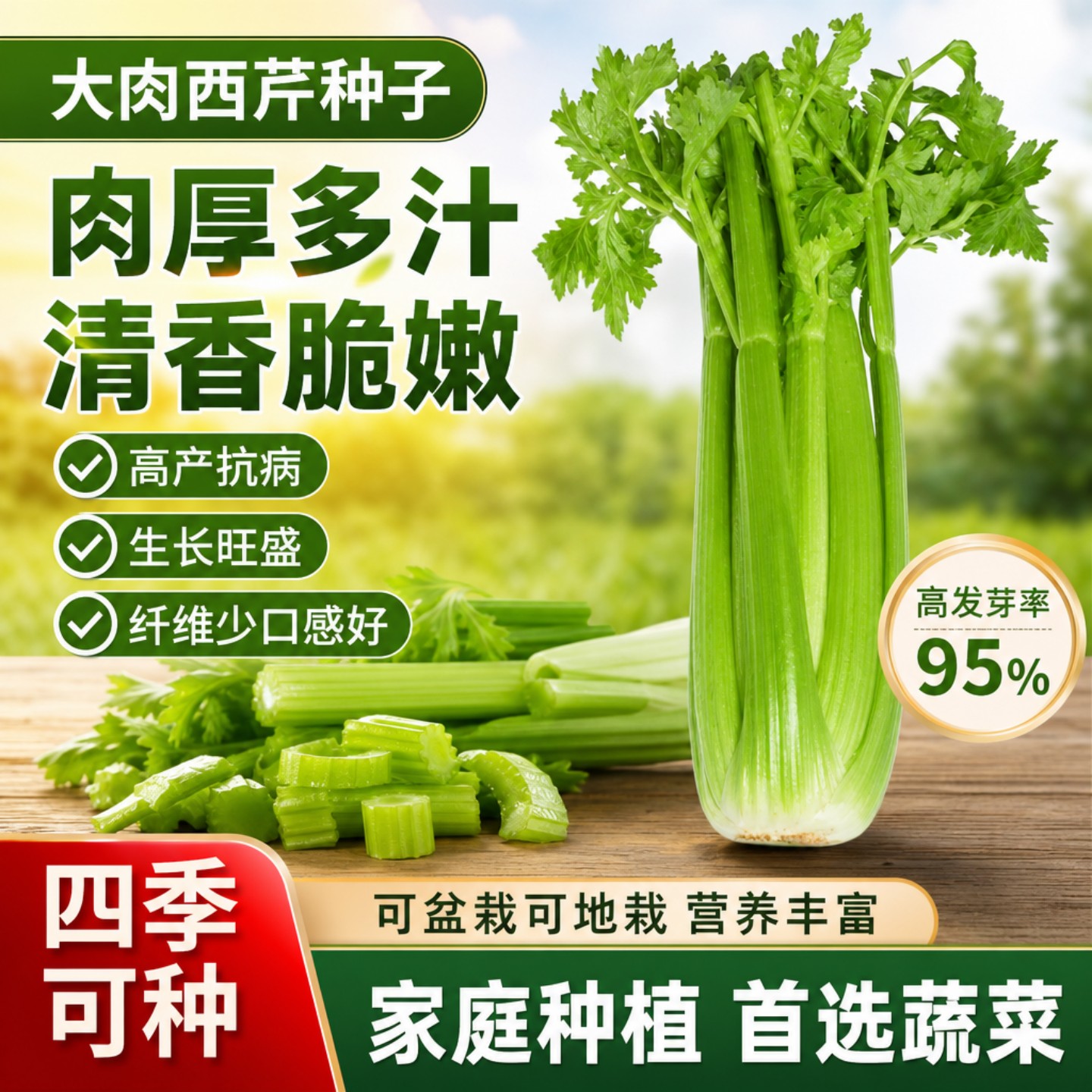 四季播肉厚脆爽大肉西芹种子高产