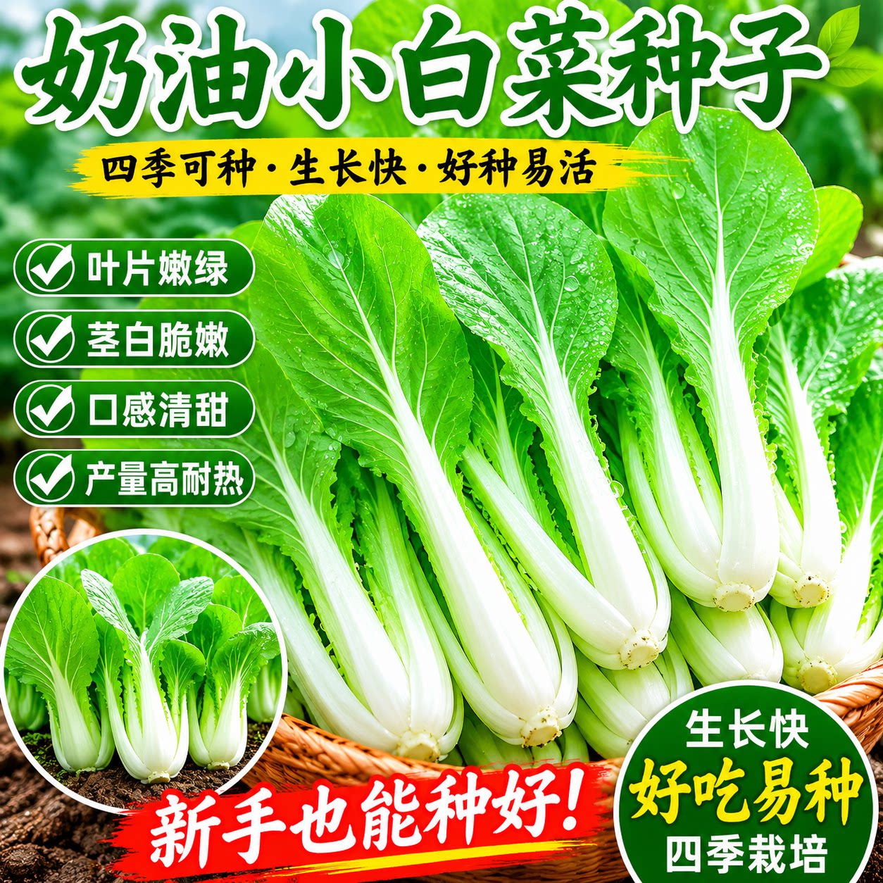 四季奶油小白菜种子速生快菜种子春夏季庭院盆栽耐热蔬菜种子大全