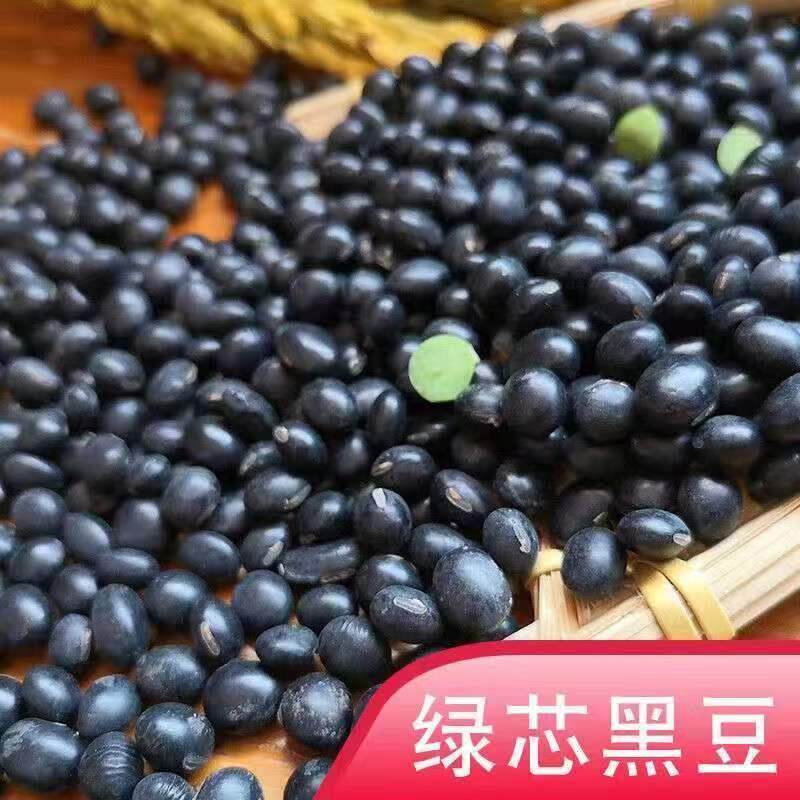 绿心黑豆种子农家大黑豆老品种椭圆形绿芯黑豆豆浆五谷杂粮大新种
