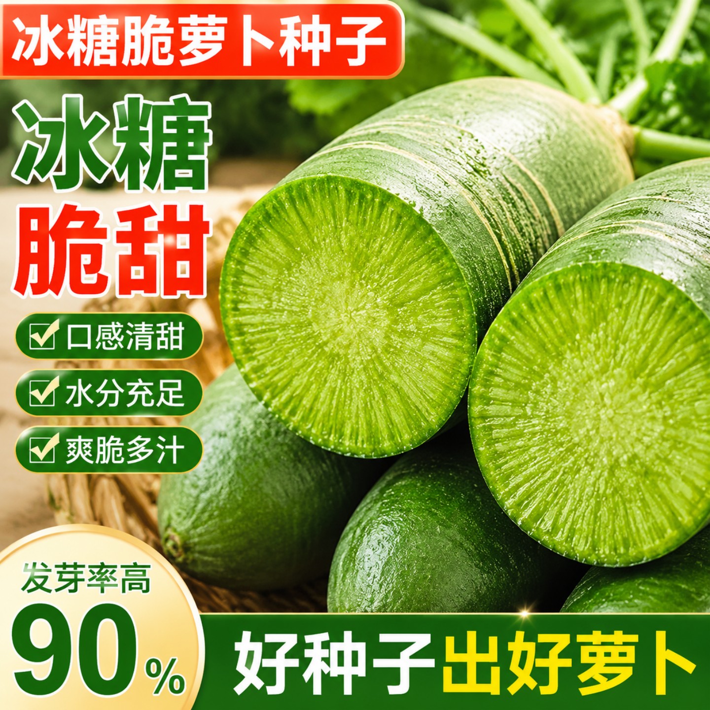 冰糖脆青水果萝卜种子生吃甜脆