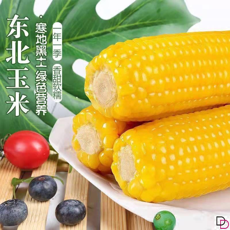 黄香甜糯玉米种子拉丝玉