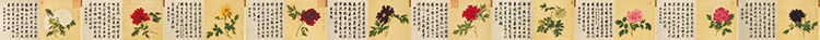 清蒋廷锡百种牡丹谱20帧绢本册页长卷复制画国画工笔花卉临摹画稿