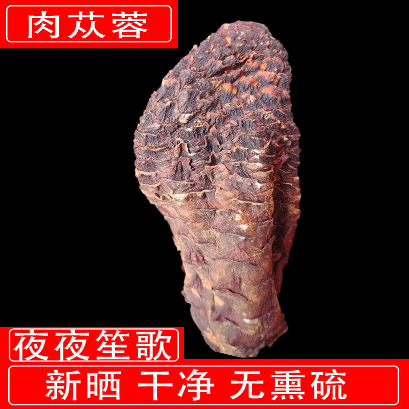 内蒙古肉苁蓉切片正品淫羊藿锁阳泡酒阿拉善非新疆野生草苁蓉药材