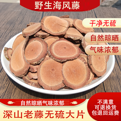 海风藤伸筋草生长大山中远离污染
