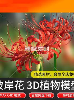 彼岸花 3D植物模型带贴图可动画C4D Max 3D模型 植物模型
