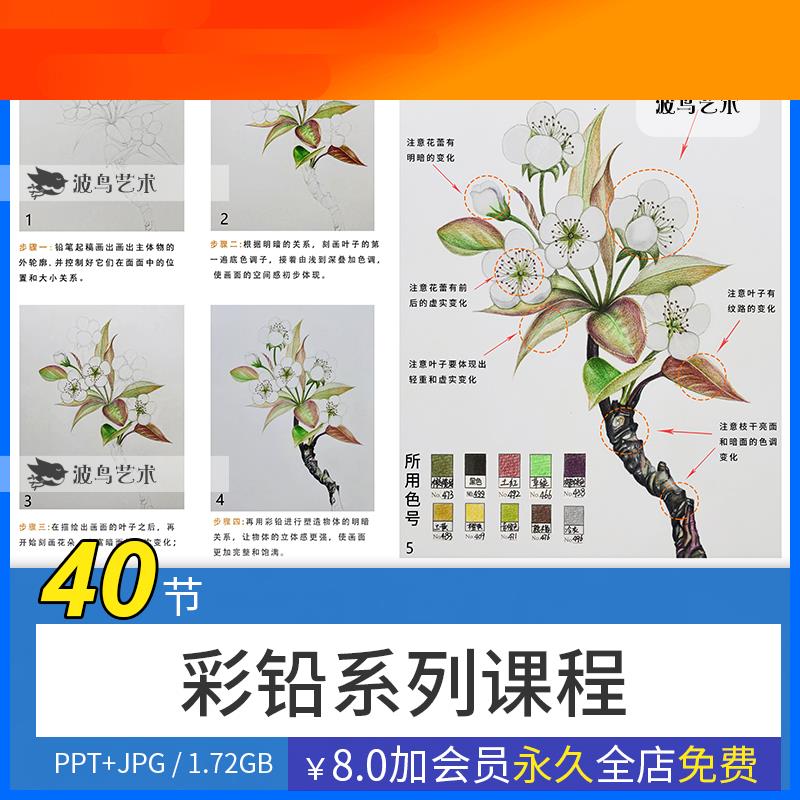 彩铅笔花卉鸟瓜果少儿童创意美术课程系列大纲8岁以上美术PPT课件