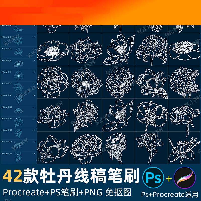 ps笔刷procreate笔刷牡丹花卉辅助线稿复古国画花朵装饰植物png图