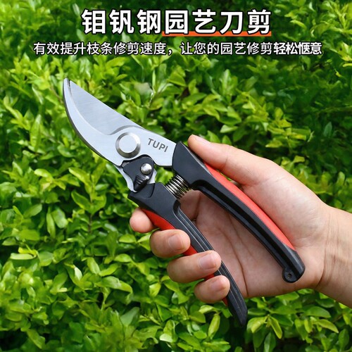 园艺修枝剪花专用修枝剪阳台盆栽家用多尺寸盆景户外剪枝剪刀剪子