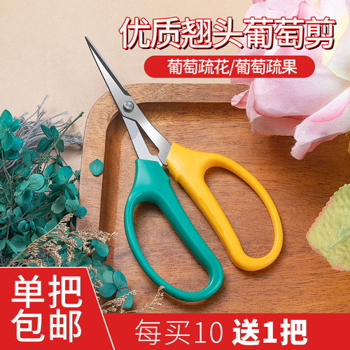 葡萄修果专用剪刀疏果剪花椒果农专用尖头采摘修枝剪刀园艺工具