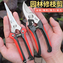 包邮 日本进口不锈钢园艺剪刀修枝剪剪树枝专用剪刀剪枝剪刀花艺剪