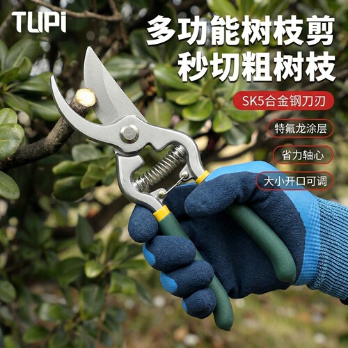 德国进口SK5园艺粗枝省力修枝剪