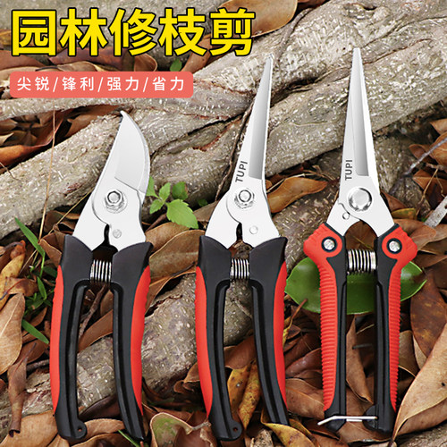 进口园艺剪刀水果神器鲜花树枝