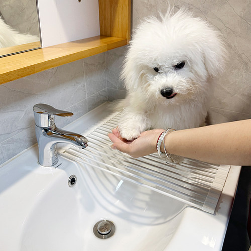 宠物猫狗洗澡洗脚洗手洗水台