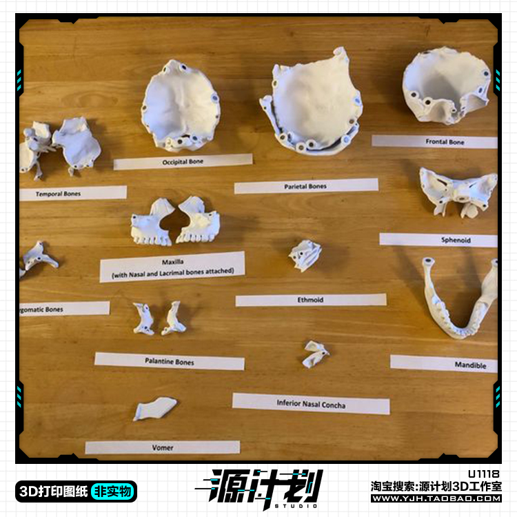 3D艺术绘画素材骨头造型手办 3D打印模型图纸白模定制STL文件