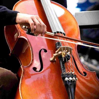 Instruments Cello Wolf Tuner Tone Mute Suppressor Musical