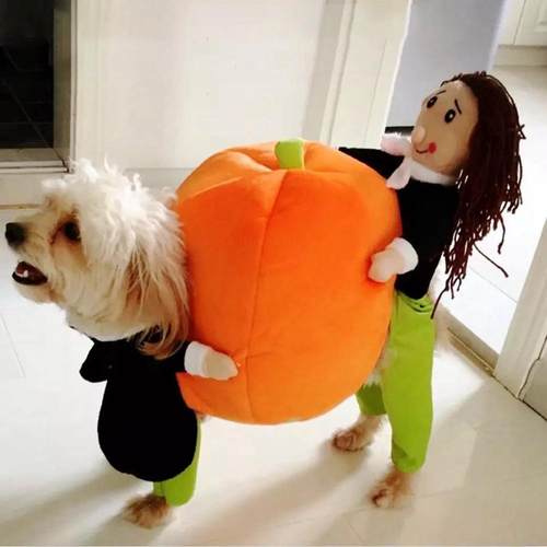 Halloween Dog Clothes Funny Pet Dogs Cosplay Costumes Sets H