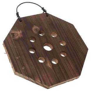 Plate Mounting Kit Hanging Square Staghorn Planters Fern