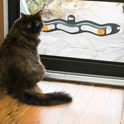 Cat Windowsill Toy Wall Toy Cat Track Ball Toy Cat Sucker Ba