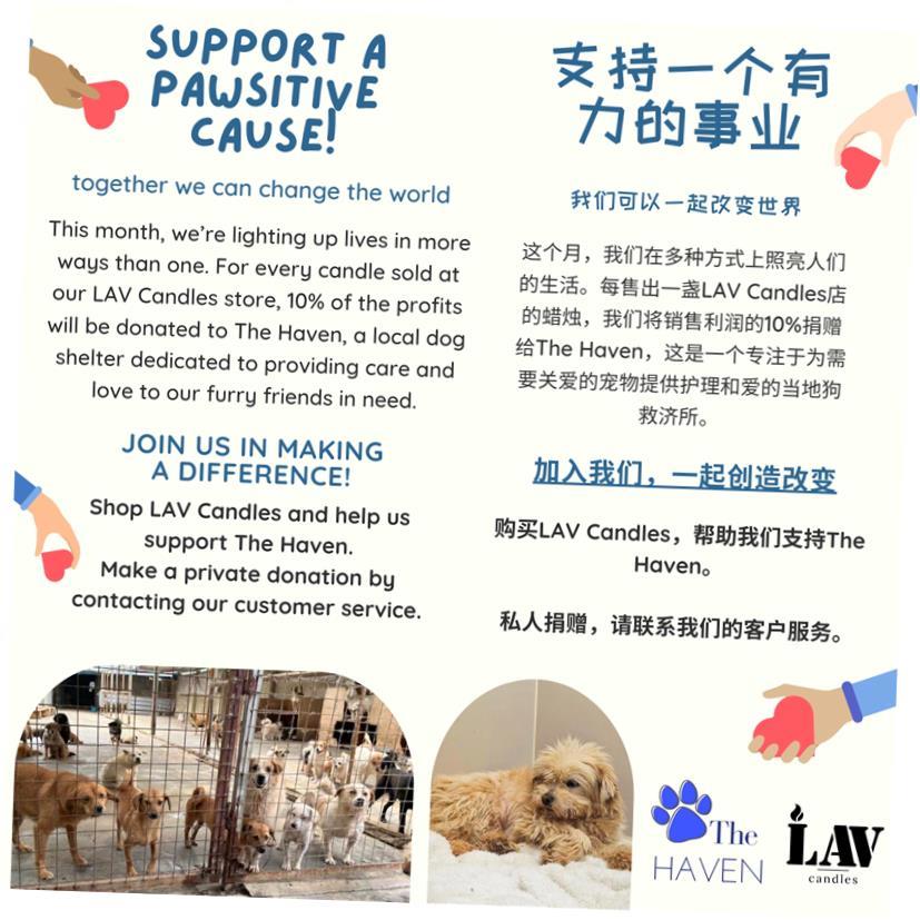 Scented Wax Melts 6p 80g LAV 香熏香薰蜡块香砖蜡块蜡块