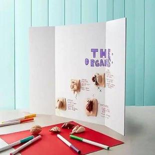 ter Fold Boards Small Presentation 4Pcs White Tri