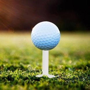 Pins Golfs Balls Convenient Golf Tees Stands Pcs