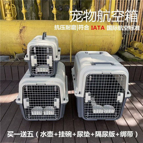国航宠物航空箱IATA标准箱猫狗