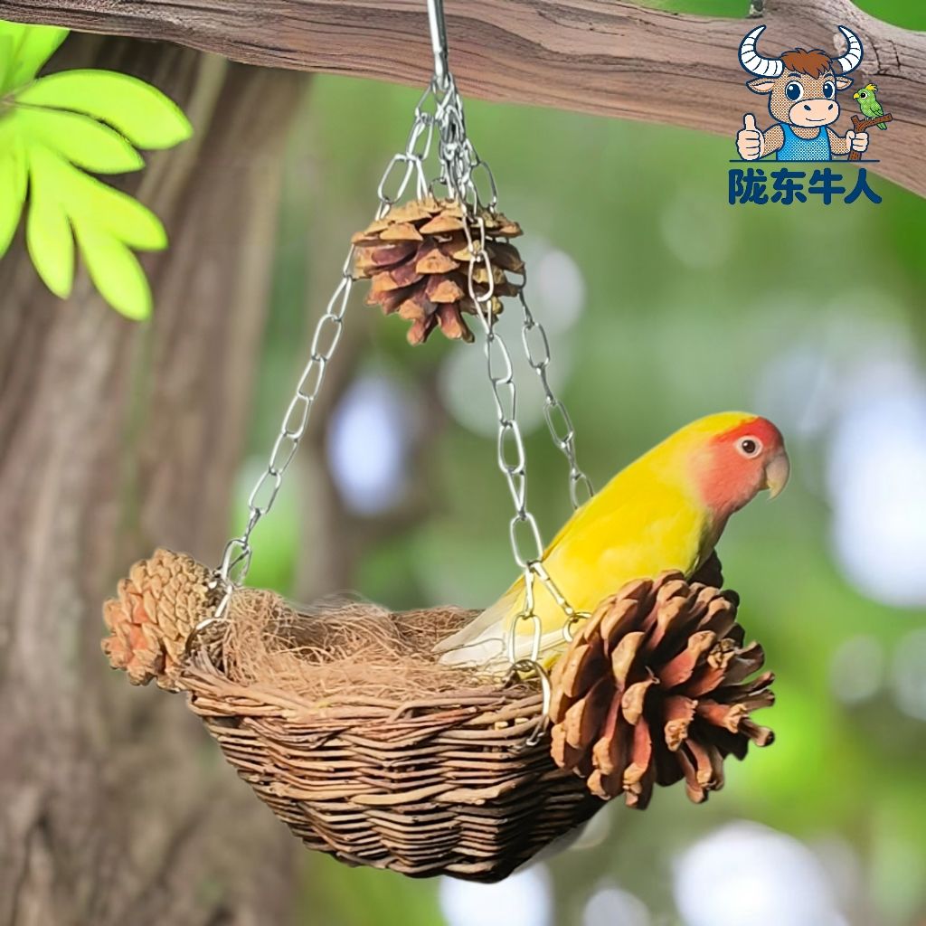 虎皮鹦鹉天然树枝鸟窝玄