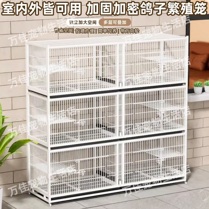 鸽子笼信鸽元宝配对笼加