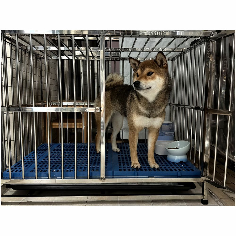 不锈钢圆管狗笼子小中大型犬室内家用带厕所宠物边牧金毛特大狗笼